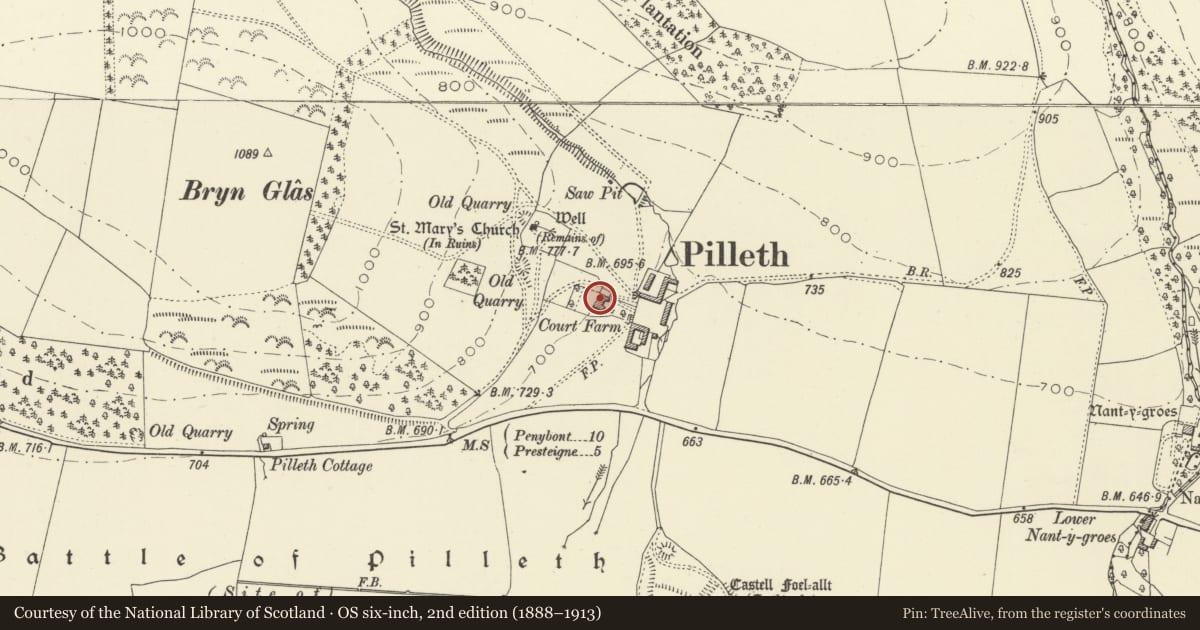 Ordnance Survey six-inch map, 2nd edition (1888–1913) covering the location of Pilleth Court, Whitton, Powys, with a pin at the register's coordinates