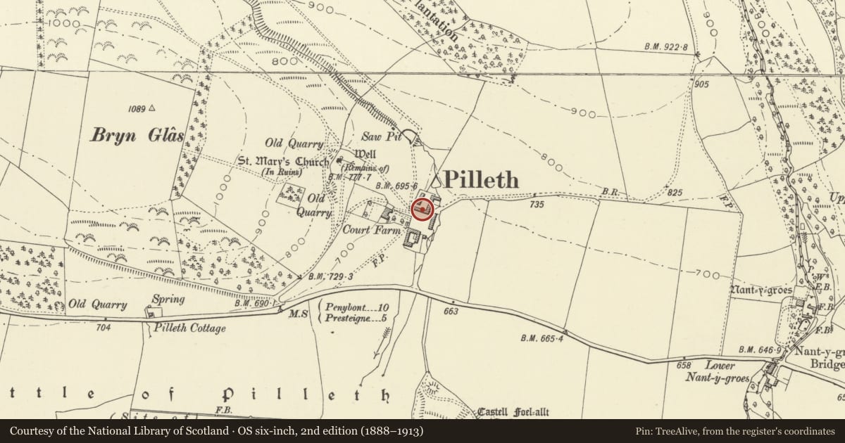 Ordnance Survey six-inch map, 2nd edition (1888–1913) covering the location of Farm Buildings (C) to E of Pilleth Court, Whitton, Powys, with a pin at the register's coordinates