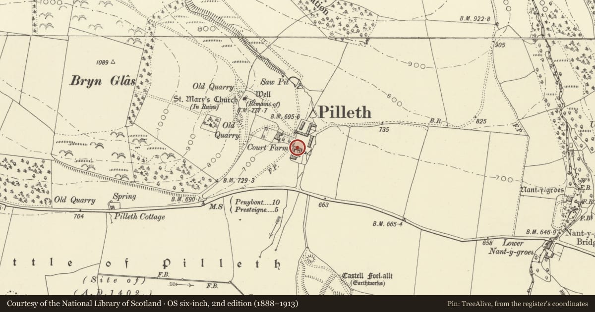 Ordnance Survey six-inch map, 2nd edition (1888–1913) covering the location of Farm Buildings (B) to E of Pilleth Court, Whitton, Powys, with a pin at the register's coordinates