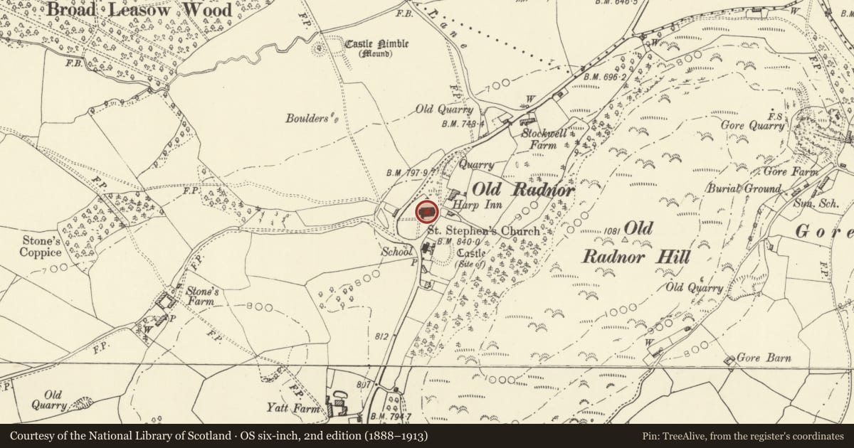 Ordnance Survey six-inch map, 2nd edition (1888–1913) covering the location of Parish Church of St Stephen, Old Radnor, Powys, with a pin at the register's coordinates