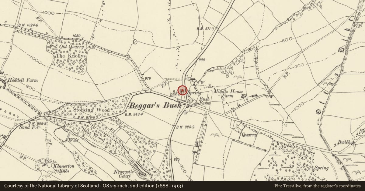 Ordnance Survey six-inch map, 2nd edition (1888–1913) covering the location of Barn attached to Bush Cottage, Old Radnor, Powys, with a pin at the register's coordinates