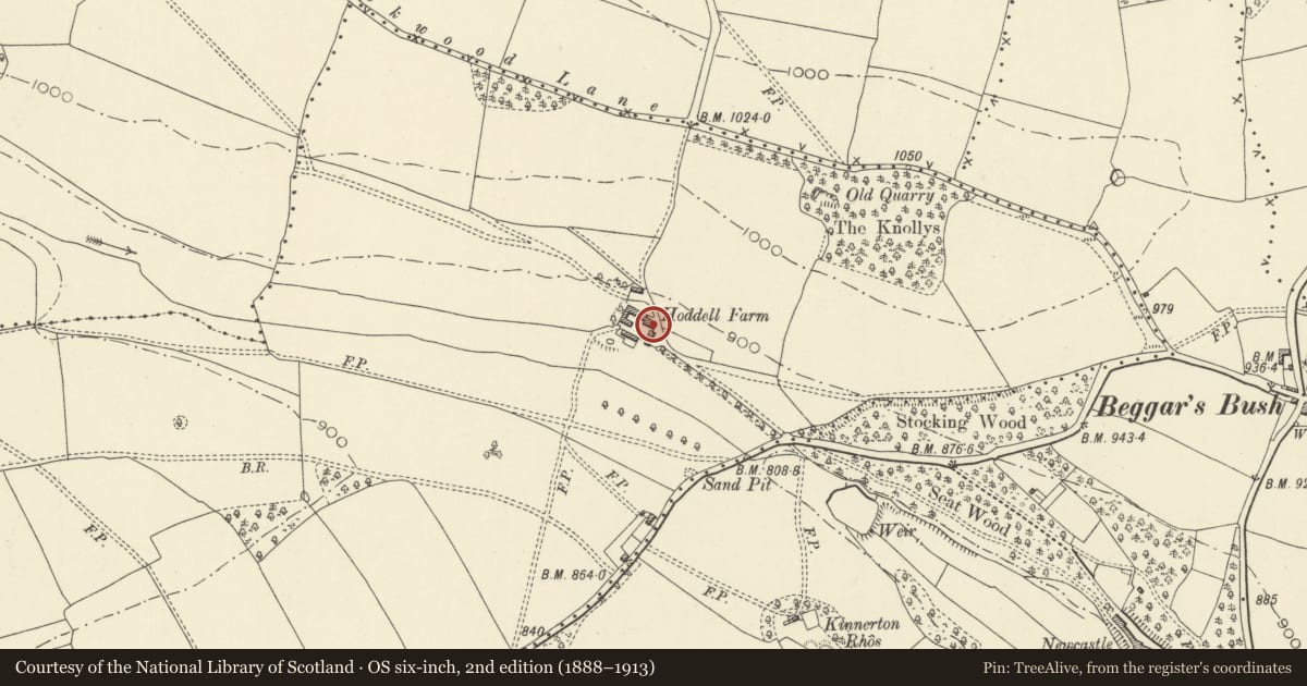 Ordnance Survey six-inch map, 2nd edition (1888–1913) covering the location of Outbuildings to SE of Hoddell Farmhouse, Old Radnor, Powys, with a pin at the register's coordinates