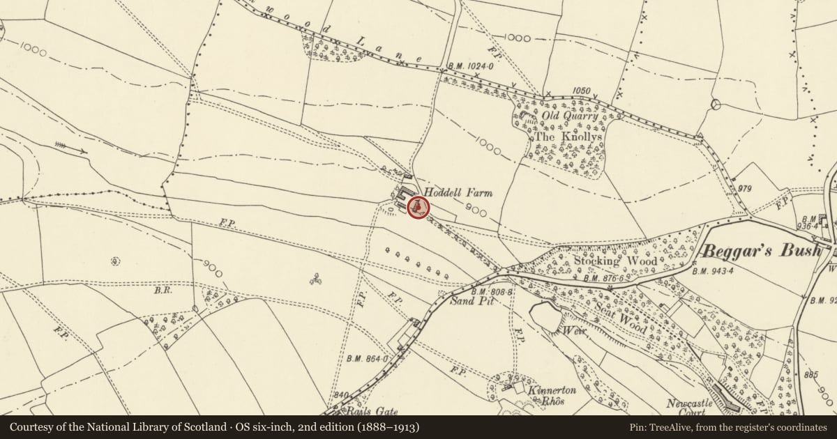 Ordnance Survey six-inch map, 2nd edition (1888–1913) covering the location of 2nd Outbuilding to SE of Hoddell Farmhouse, Old Radnor, Powys, with a pin at the register's coordinates