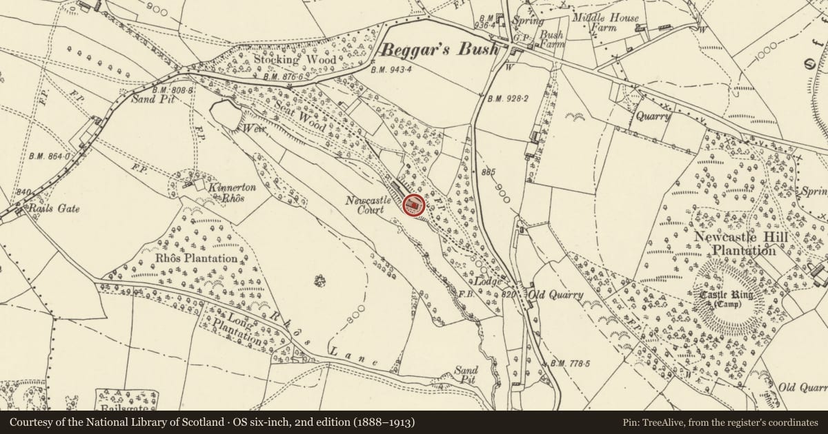 Ordnance Survey six-inch map, 2nd edition (1888–1913) covering the location of Newcastle Court, Old Radnor, Powys, with a pin at the register's coordinates
