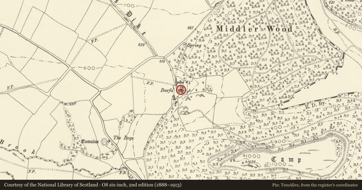 Ordnance Survey six-inch map, 2nd edition (1888–1913) covering the location of Burfa, Old Radnor, Powys, with a pin at the register's coordinates