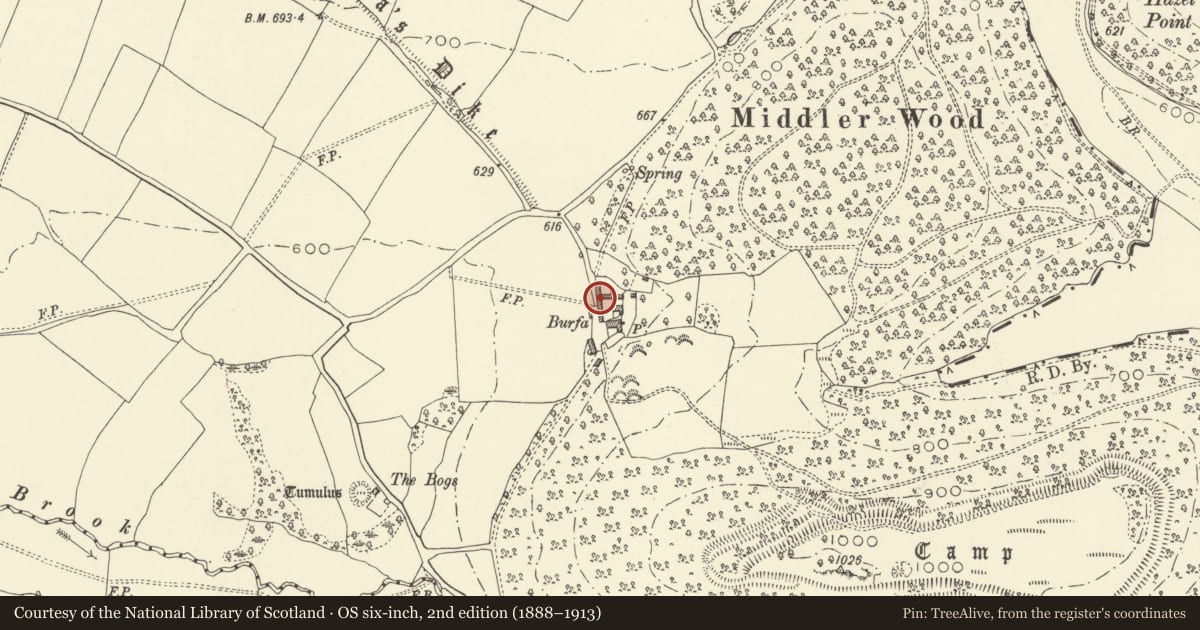 Ordnance Survey six-inch map, 2nd edition (1888–1913) covering the location of Farm Buildings immediately to NW of Burfa, Old Radnor, Powys, with a pin at the register's coordinates