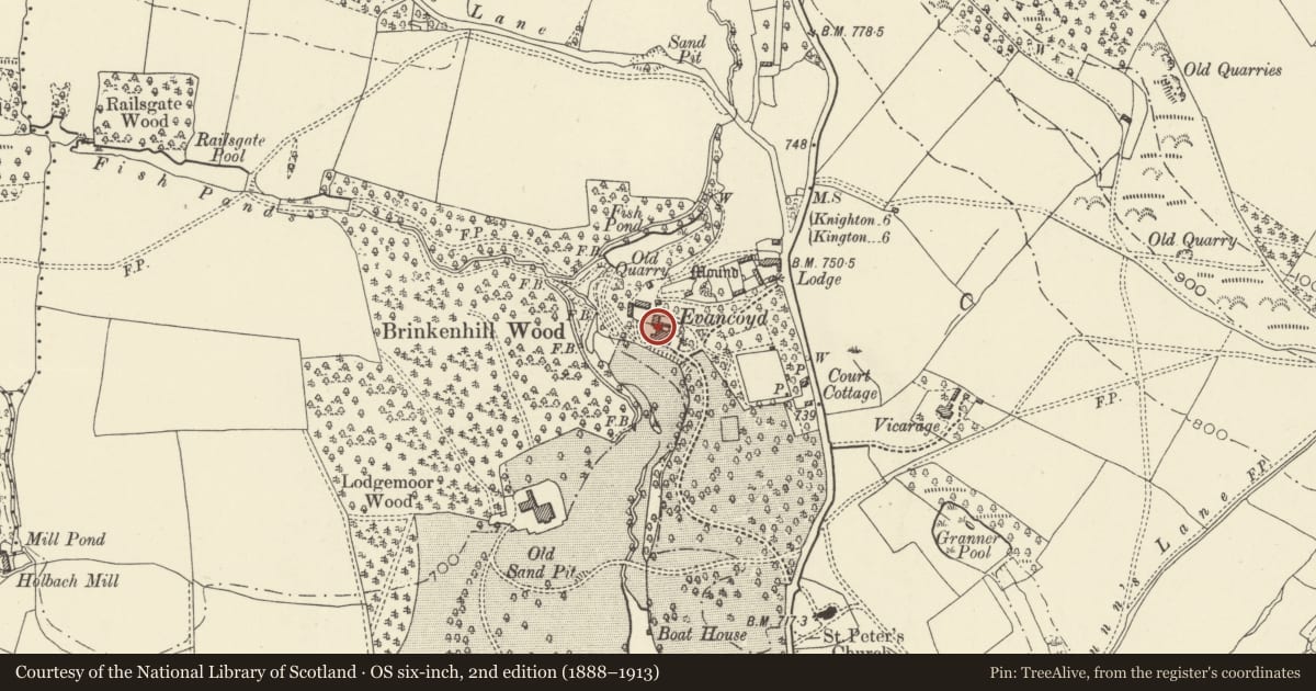 Ordnance Survey six-inch map, 2nd edition (1888–1913) covering the location of Outbuilding around NW courtyard at Evancoyd, Old Radnor, Powys, with a pin at the register's coordinates