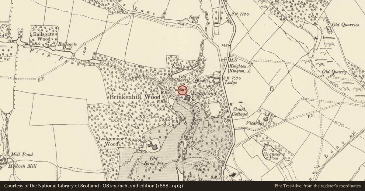 Ordnance Survey six-inch map, 2nd edition (1888–1913) covering the location of Outbuilding around NW Courtyard at Evancoyd, Old Radnor, Powys, with a pin at the register's coordinates