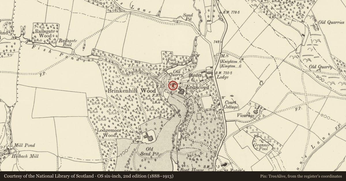 Ordnance Survey six-inch map, 2nd edition (1888–1913) covering the location of Outbuilding around NW Courtyard at Evancoyd, Old Radnor, Powys, with a pin at the register's coordinates