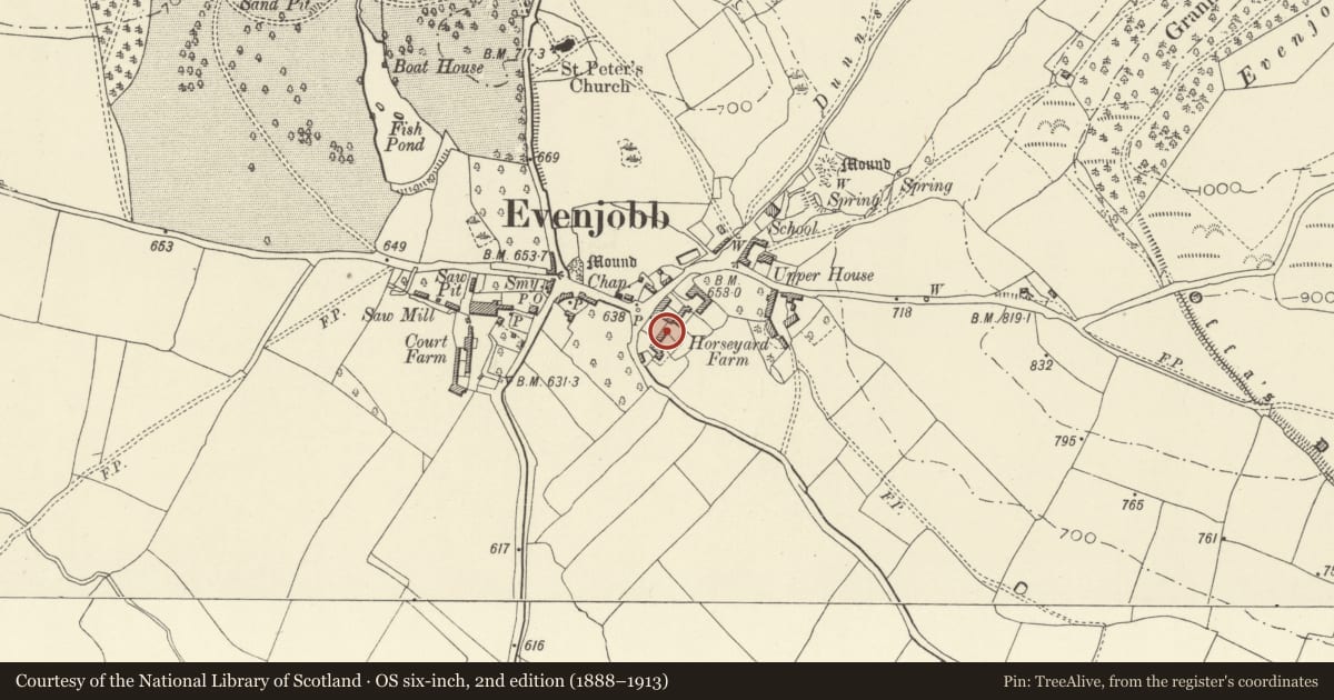 Ordnance Survey six-inch map, 2nd edition (1888–1913) covering the location of Lower House, Old Radnor, Powys, with a pin at the register's coordinates