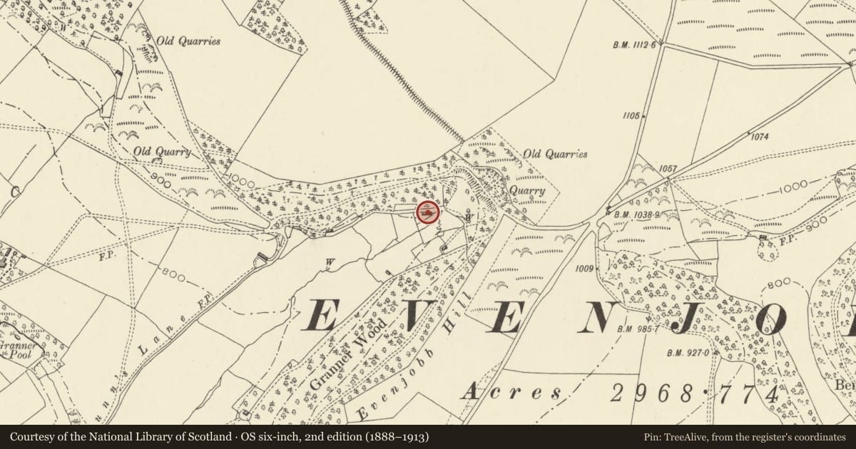 Ordnance Survey six-inch map, 2nd edition (1888–1913) covering the location of Woodside Cottage, Old Radnor, Powys, with a pin at the register's coordinates