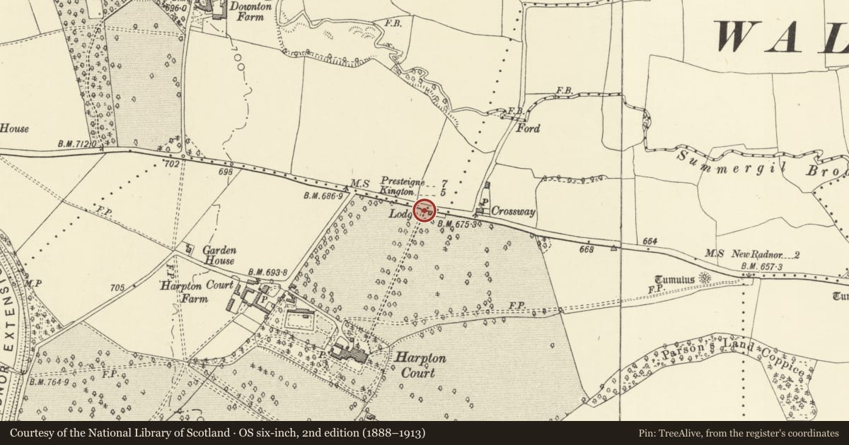 Ordnance Survey six-inch map, 2nd edition (1888–1913) covering the location of Gate Piers, Walls and Railings at former North Driveway to Harpton Court, Old Radnor, Powys, with a pin at the register's coordinates