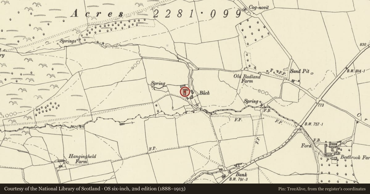 Ordnance Survey six-inch map, 2nd edition (1888–1913) covering the location of U-Plan Ranges of Farm Buildings at Bache Farm, Old Radnor, Powys, with a pin at the register's coordinates