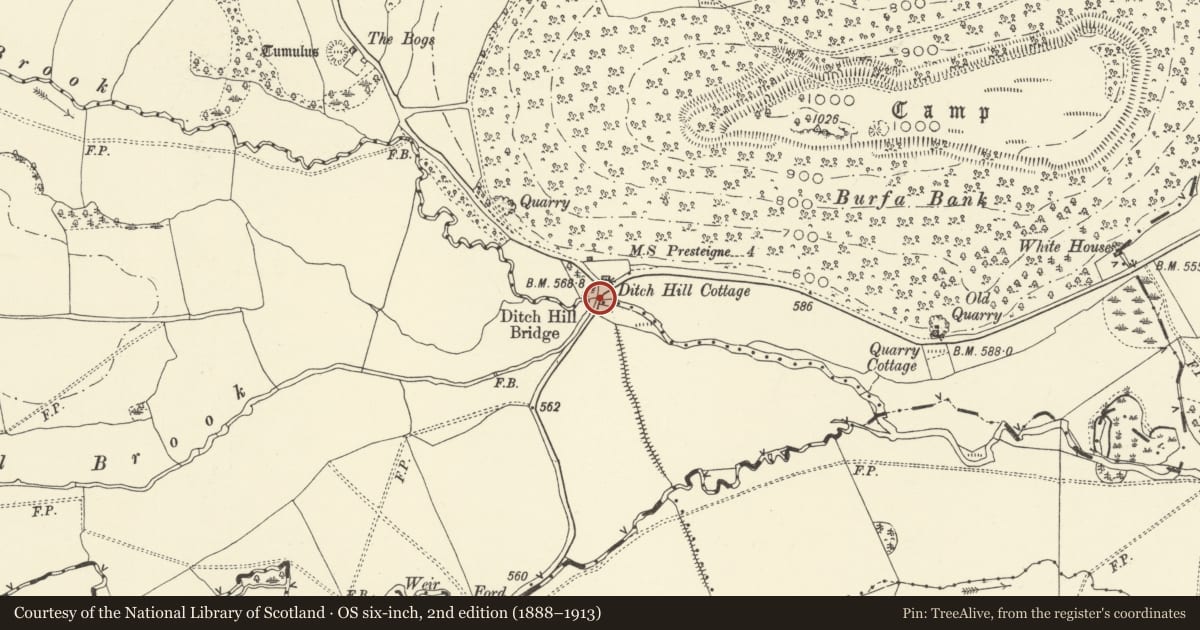 Ordnance Survey six-inch map, 2nd edition (1888–1913) covering the location of Ditchyeld Bridge, Old Radnor, Powys, with a pin at the register's coordinates