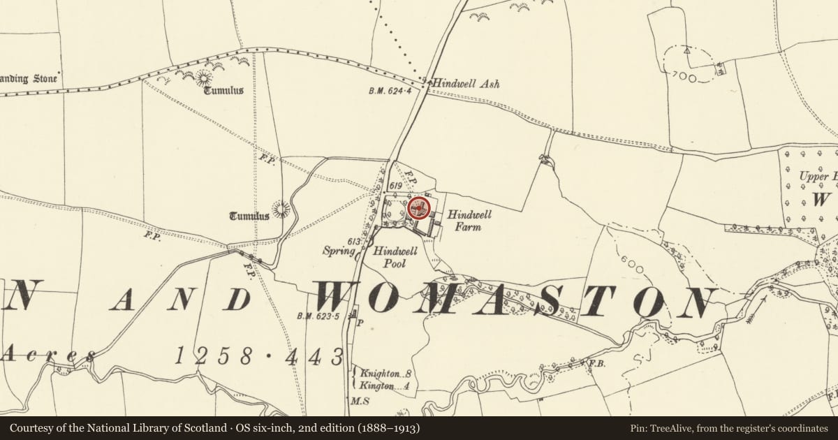 Ordnance Survey six-inch map, 2nd edition (1888–1913) covering the location of L-Plan Range in Farmyard at Hindwell Farm, Old Radnor, Powys, with a pin at the register's coordinates