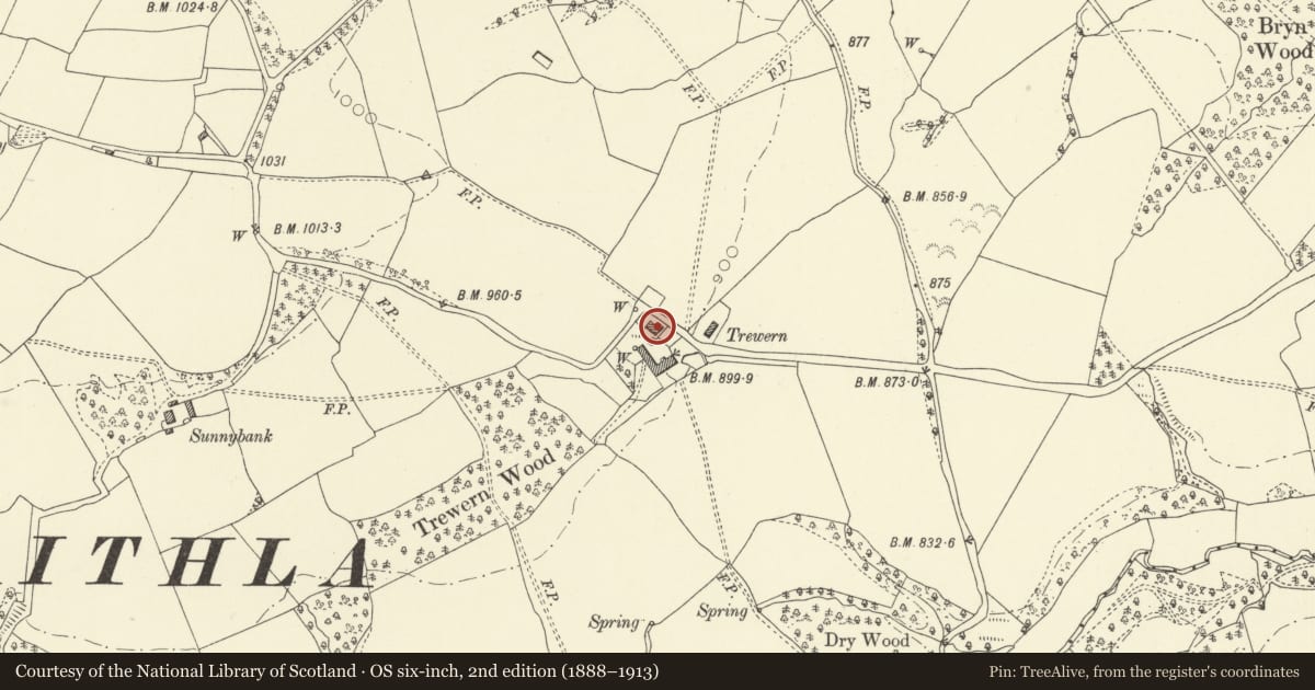 Ordnance Survey six-inch map, 2nd edition (1888–1913) covering the location of Trewern, Old Radnor, Powys, with a pin at the register's coordinates