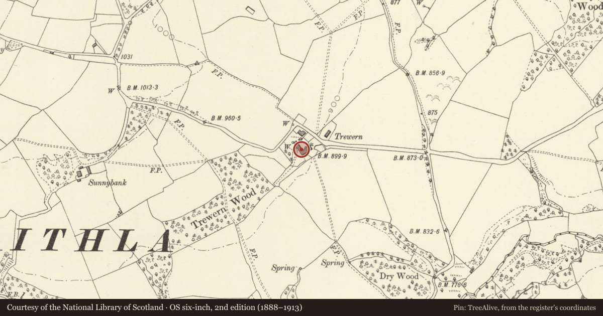 Ordnance Survey six-inch map, 2nd edition (1888–1913) covering the location of L-Plan Range of Outbuildings at Trewern, Old Radnor, Powys, with a pin at the register's coordinates