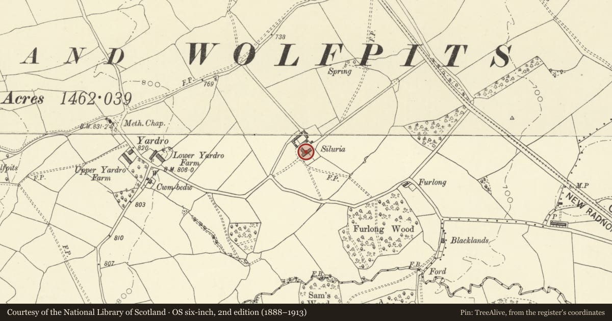 Ordnance Survey six-inch map, 2nd edition (1888–1913) covering the location of Siluria, Old Radnor, Powys, with a pin at the register's coordinates