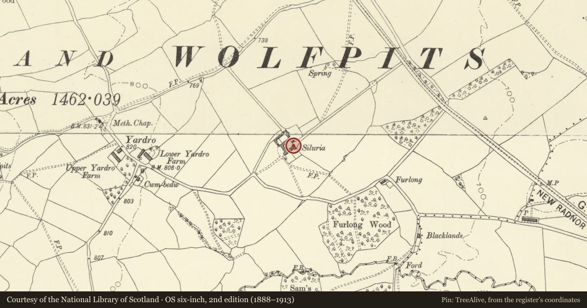 Ordnance Survey six-inch map, 2nd edition (1888–1913) covering the location of T-Plan Range of outbuildings attached to Siluria, Old Radnor, Powys, with a pin at the register's coordinates