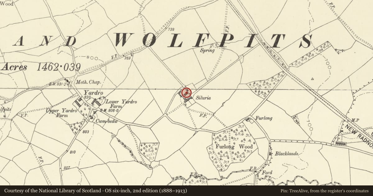 Ordnance Survey six-inch map, 2nd edition (1888–1913) covering the location of Courtyard Ranges of Farm Buildings to North of Siluria, Old Radnor, Powys, with a pin at the register's coordinates
