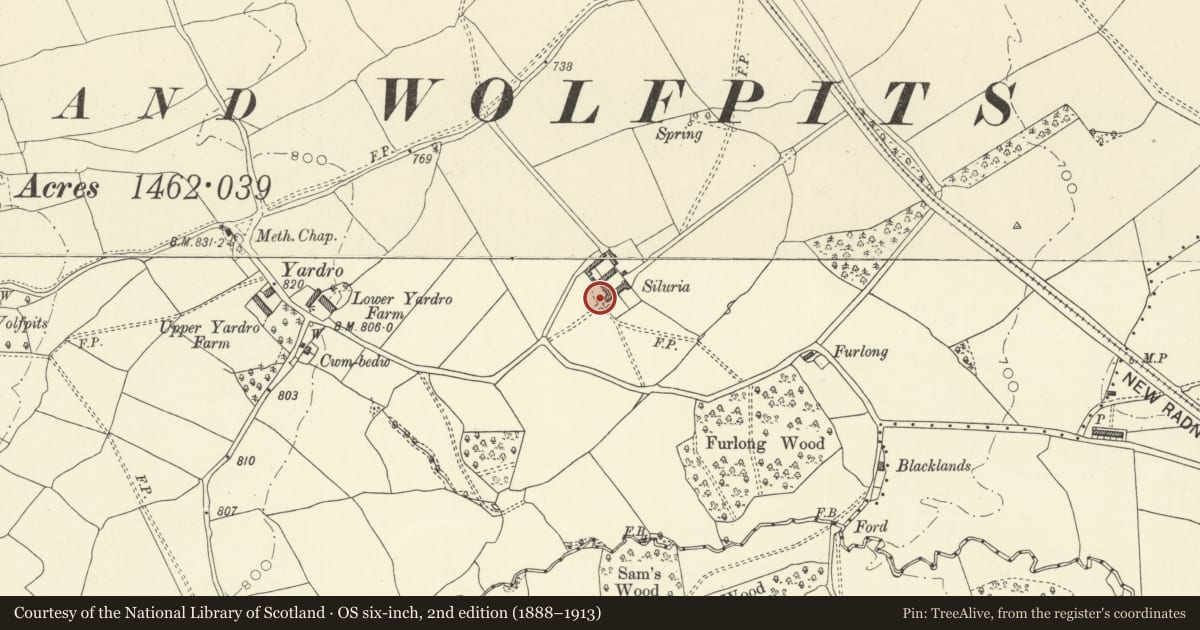 Ordnance Survey six-inch map, 2nd edition (1888–1913) covering the location of Detached Privy 20m W of Siluria Farmhouse, Old Radnor, Powys, with a pin at the register's coordinates