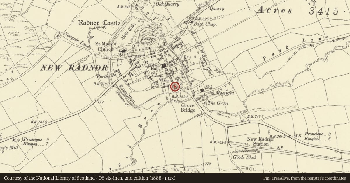 Ordnance Survey six-inch map, 2nd edition (1888–1913) covering the location of The Old Rectory, New Radnor, Powys, with a pin at the register's coordinates