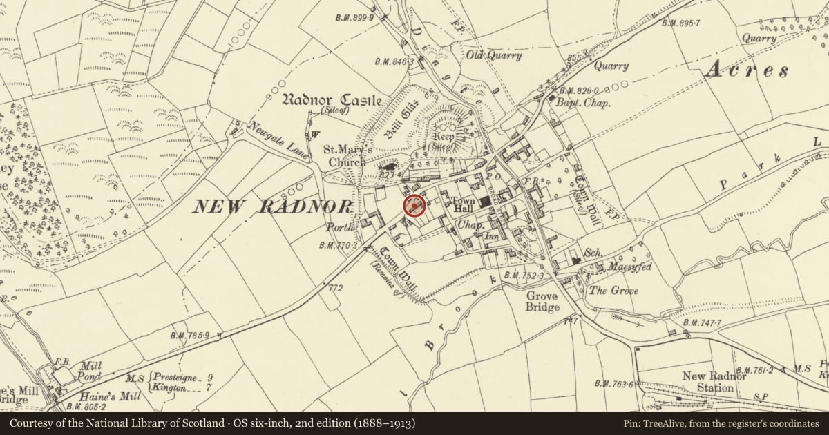 Ordnance Survey six-inch map, 2nd edition (1888–1913) covering the location of Swan House, New Radnor, Powys, with a pin at the register's coordinates