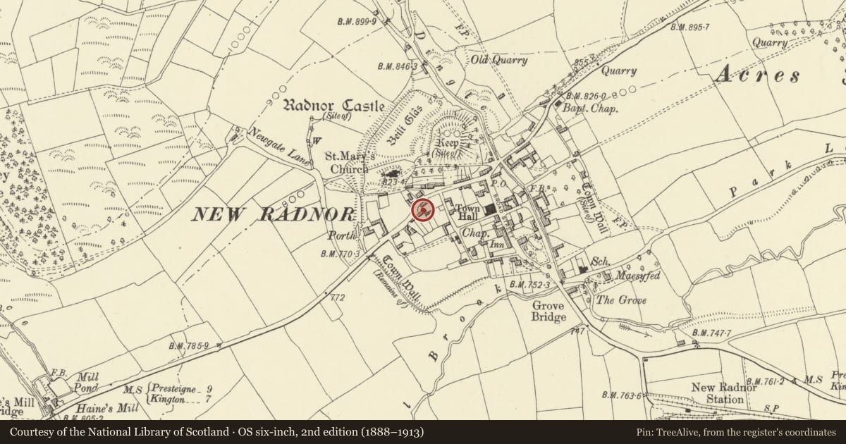 Ordnance Survey six-inch map, 2nd edition (1888–1913) covering the location of Outbuildings attached to left of No. 8 church Street, New Radnor, Powys, with a pin at the register's coordinates