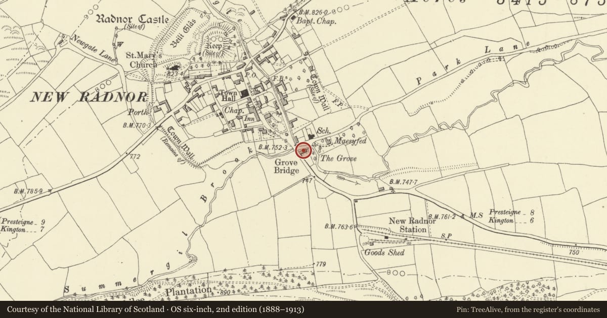 Ordnance Survey six-inch map, 2nd edition (1888–1913) covering the location of The Grove, New Radnor, Powys, with a pin at the register's coordinates