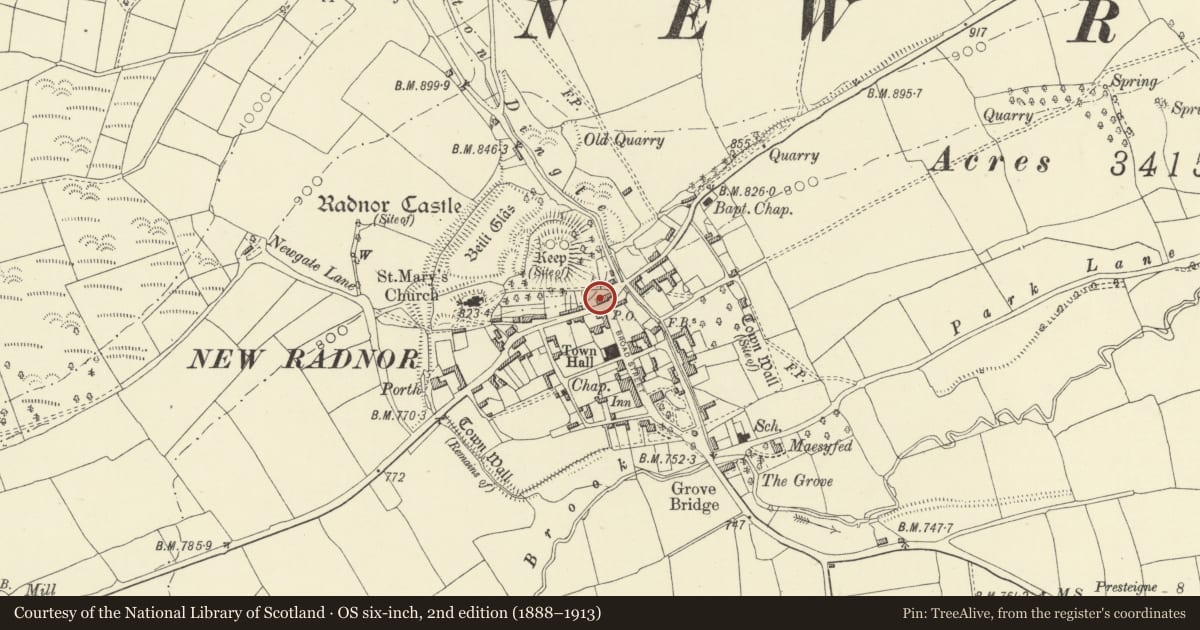 Ordnance Survey six-inch map, 2nd edition (1888–1913) covering the location of The Cross, New Radnor, Powys, with a pin at the register's coordinates