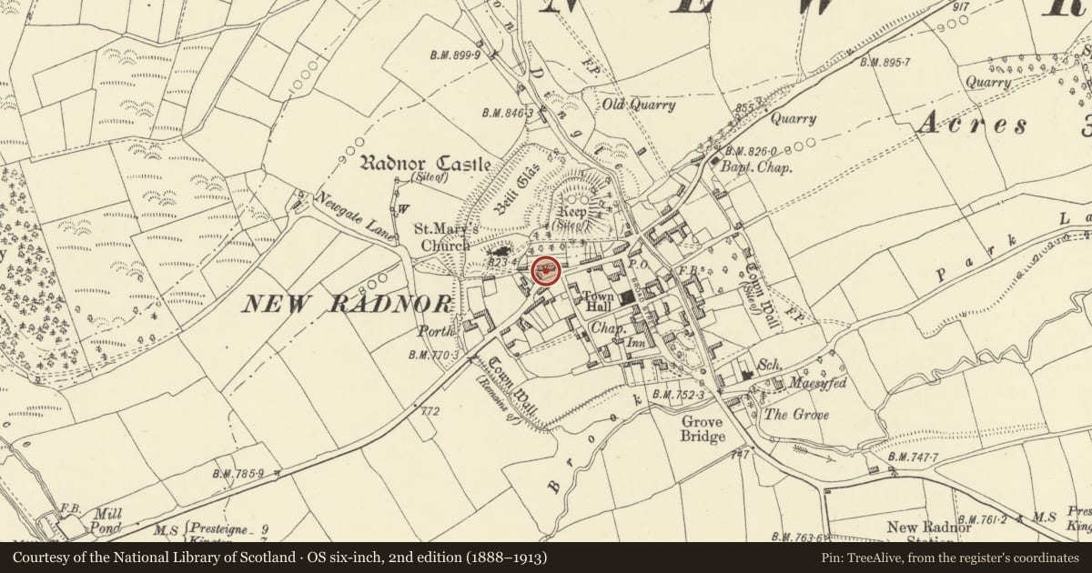 Ordnance Survey six-inch map, 2nd edition (1888–1913) covering the location of War Memorial, New Radnor, Powys, with a pin at the register's coordinates