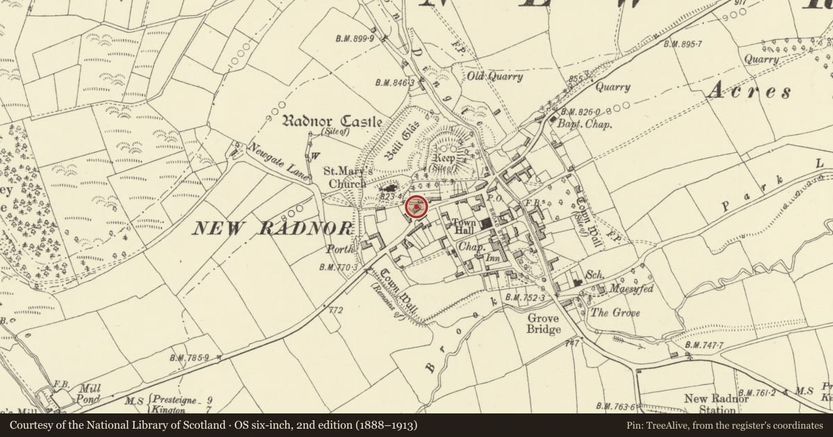 Ordnance Survey six-inch map, 2nd edition (1888–1913) covering the location of Wayside, New Radnor, Powys, with a pin at the register's coordinates