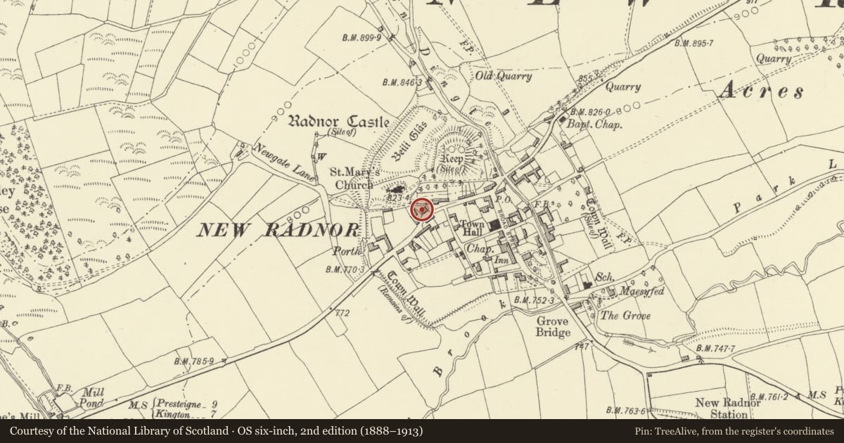 Ordnance Survey six-inch map, 2nd edition (1888–1913) covering the location of Wayside Cottage, New Radnor, Powys, with a pin at the register's coordinates