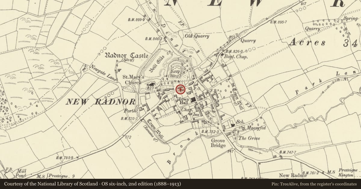 Ordnance Survey six-inch map, 2nd edition (1888–1913) covering the location of Outbuilding 10m to W.of No.15 (Rainbow Cottage), New Radnor, Powys, with a pin at the register's coordinates