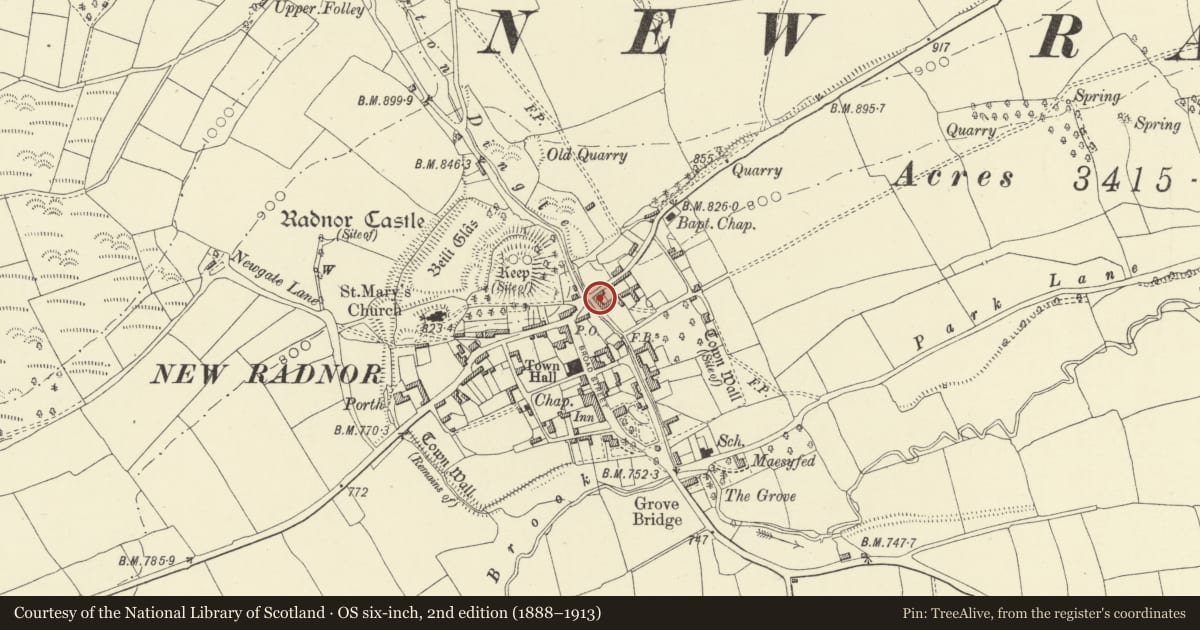 Ordnance Survey six-inch map, 2nd edition (1888–1913) covering the location of Brookside Farmhouse, New Radnor, Powys, with a pin at the register's coordinates
