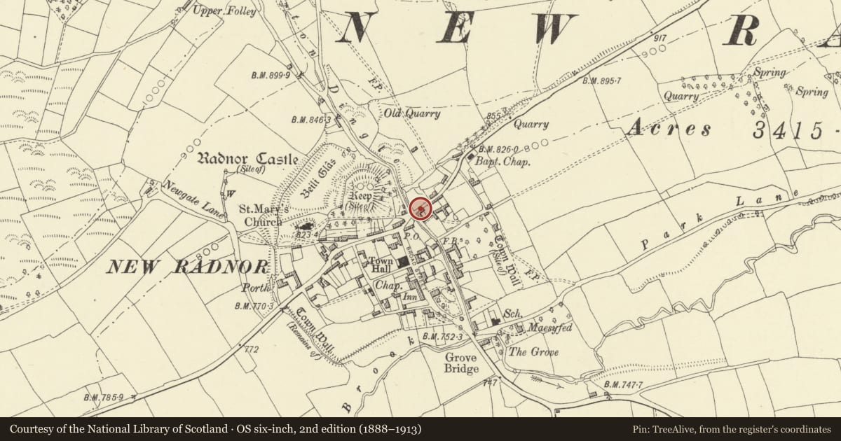 Ordnance Survey six-inch map, 2nd edition (1888–1913) covering the location of Farm Range attached to NW.end of Brookside Farmhouse, New Radnor, Powys, with a pin at the register's coordinates