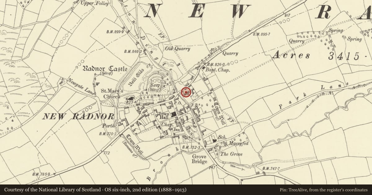 Ordnance Survey six-inch map, 2nd edition (1888–1913) covering the location of Farm Range adjoining E. end of Brookside Farmhouse, New Radnor, Powys, with a pin at the register's coordinates