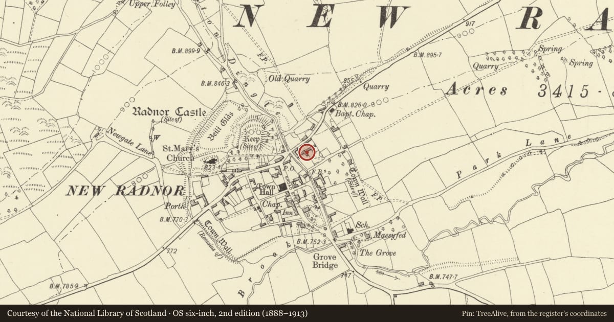 Ordnance Survey six-inch map, 2nd edition (1888–1913) covering the location of Stable Building running forward about 15m E.of Brookside Farmhouse, New Radnor, Powys, with a pin at the register's coordinates