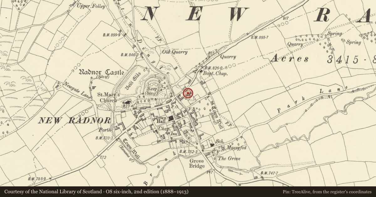 Ordnance Survey six-inch map, 2nd edition (1888–1913) covering the location of Part of L-Plan Farm Range 30m NE.of Brookside Farmhouse, New Radnor, Powys, with a pin at the register's coordinates