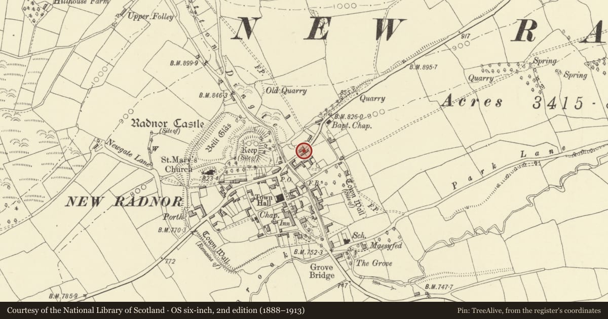 Ordnance Survey six-inch map, 2nd edition (1888–1913) covering the location of Cowsheds 30m to NE. of Brookside Farmhouse, New Radnor, Powys, with a pin at the register's coordinates