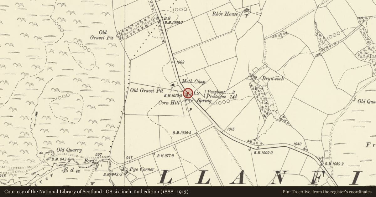 Ordnance Survey six-inch map, 2nd edition (1888–1913) covering the location of Milestone on grass verge opposite Corn Hill, New Radnor, Powys, with a pin at the register's coordinates