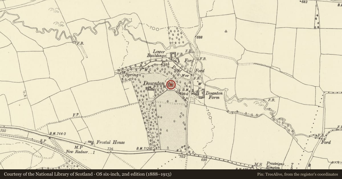 Ordnance Survey six-inch map, 2nd edition (1888–1913) covering the location of Downton House, New Radnor, Powys, with a pin at the register's coordinates