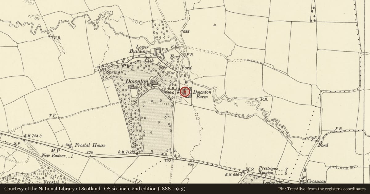 Ordnance Survey six-inch map, 2nd edition (1888–1913) covering the location of Downtown Farmhouse, New Radnor, Powys, with a pin at the register's coordinates