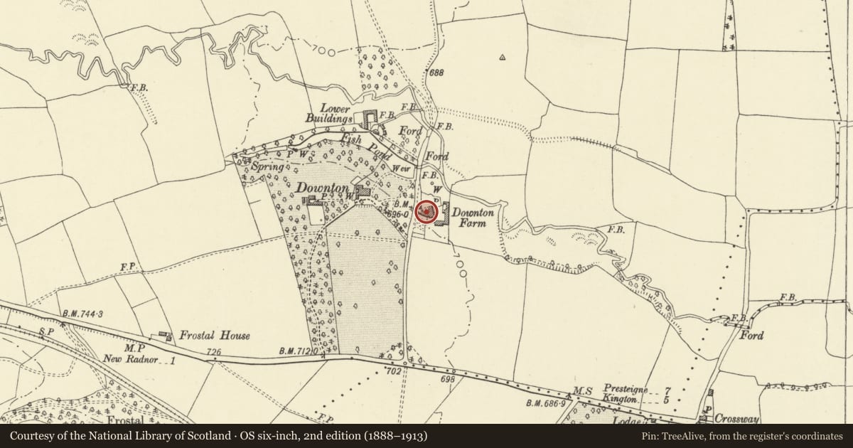 Ordnance Survey six-inch map, 2nd edition (1888–1913) covering the location of Outbuildings attached to W of Downton Farmhouse, New Radnor, Powys, with a pin at the register's coordinates