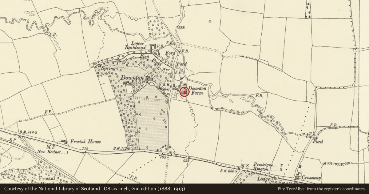 Ordnance Survey six-inch map, 2nd edition (1888–1913) covering the location of Part of L-Plan Farm Ranges about 20m E of Downton Farmhouse, New Radnor, Powys, with a pin at the register's coordinates
