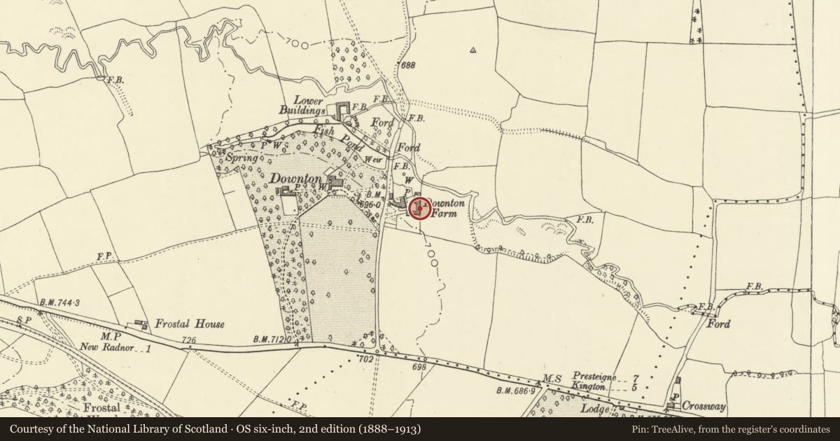 Ordnance Survey six-inch map, 2nd edition (1888–1913) covering the location of Part of L-Plan Farm Ranges about 20m E.of Downton Farmhouse, New Radnor, Powys, with a pin at the register's coordinates