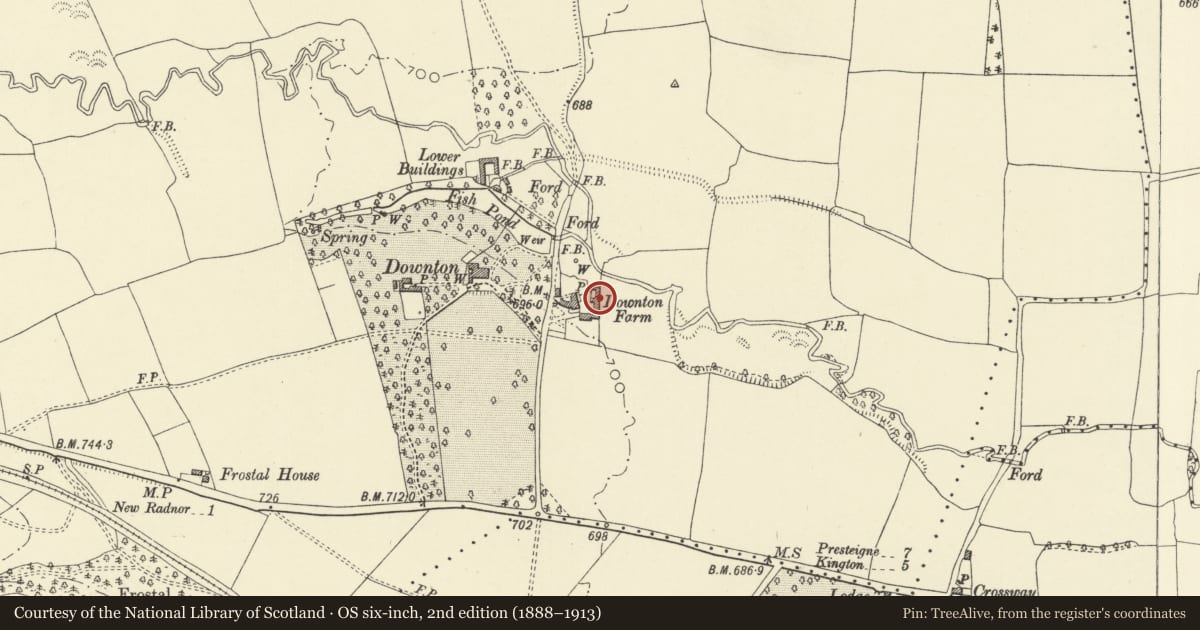 Ordnance Survey six-inch map, 2nd edition (1888–1913) covering the location of Part of L-Plan Farm Ranges about 20m E.of Downton Farmhouse, New Radnor, Powys, with a pin at the register's coordinates