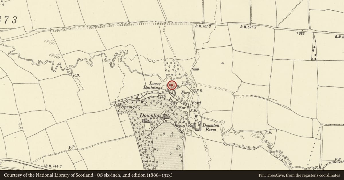 Ordnance Survey six-inch map, 2nd edition (1888–1913) covering the location of Part of L-Plan Ranges of Barns to N of Downton House, New Radnor, Powys, with a pin at the register's coordinates