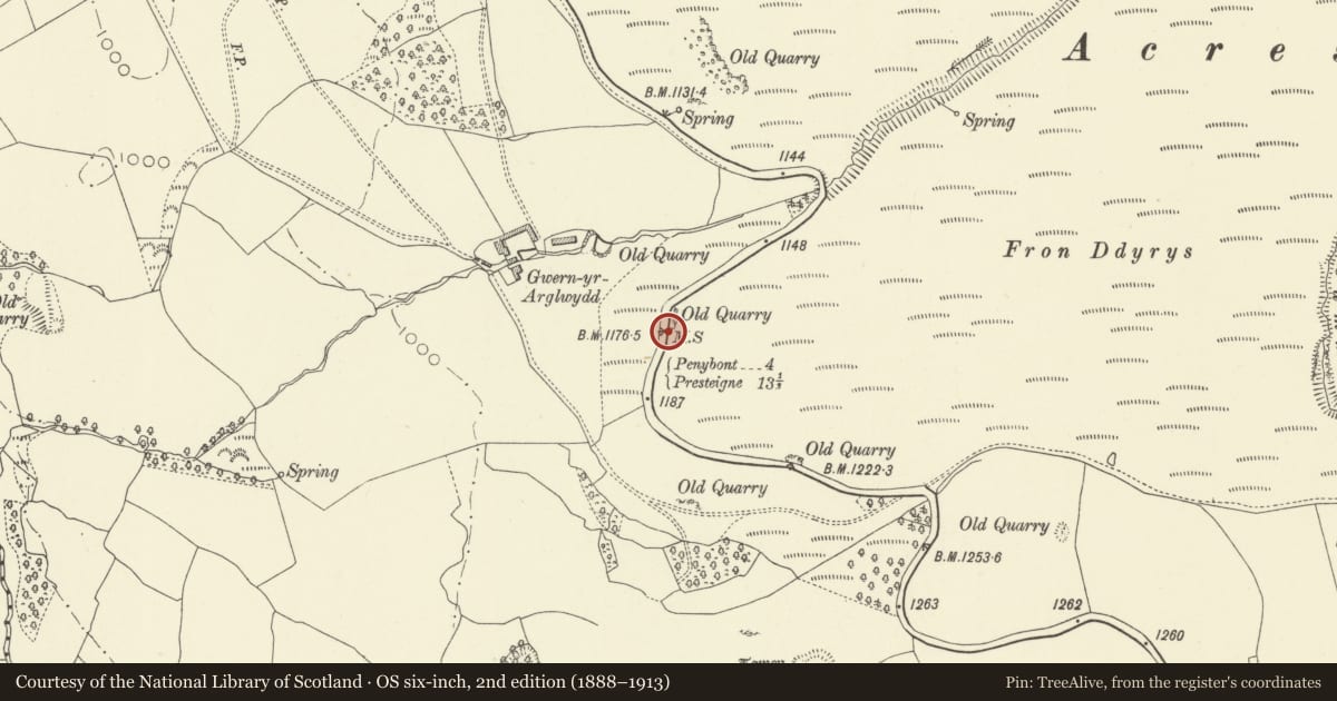 Ordnance Survey six-inch map, 2nd edition (1888–1913) covering the location of Milestone in verge to E of Gwernargllwydd, New Radnor, Powys, with a pin at the register's coordinates