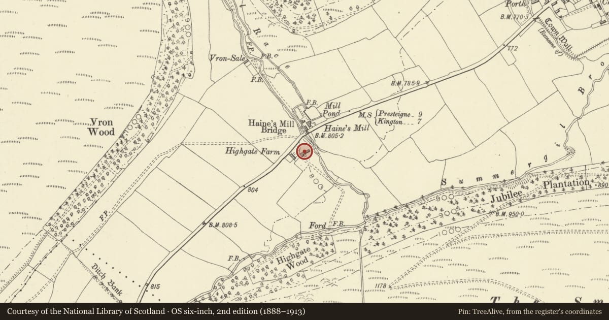 Ordnance Survey six-inch map, 2nd edition (1888–1913) covering the location of Farm Range 20m E of Highgate Farmhouse, New Radnor, Powys, with a pin at the register's coordinates